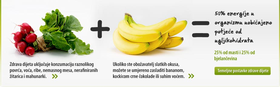 Temeljne postavke zdrave dijete, Moja-dijeta.com.hr