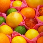 citrus dijeta